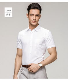 羅蒙 青年男士短袖襯衫修身商務休閑薄款職業襯衣男1e72221