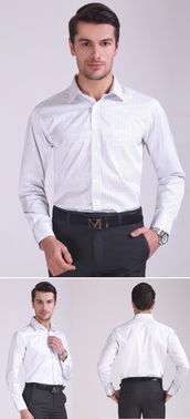 探索啄木鳥純棉免燙紫羅蘭襯衫 商務休閑的完美之選